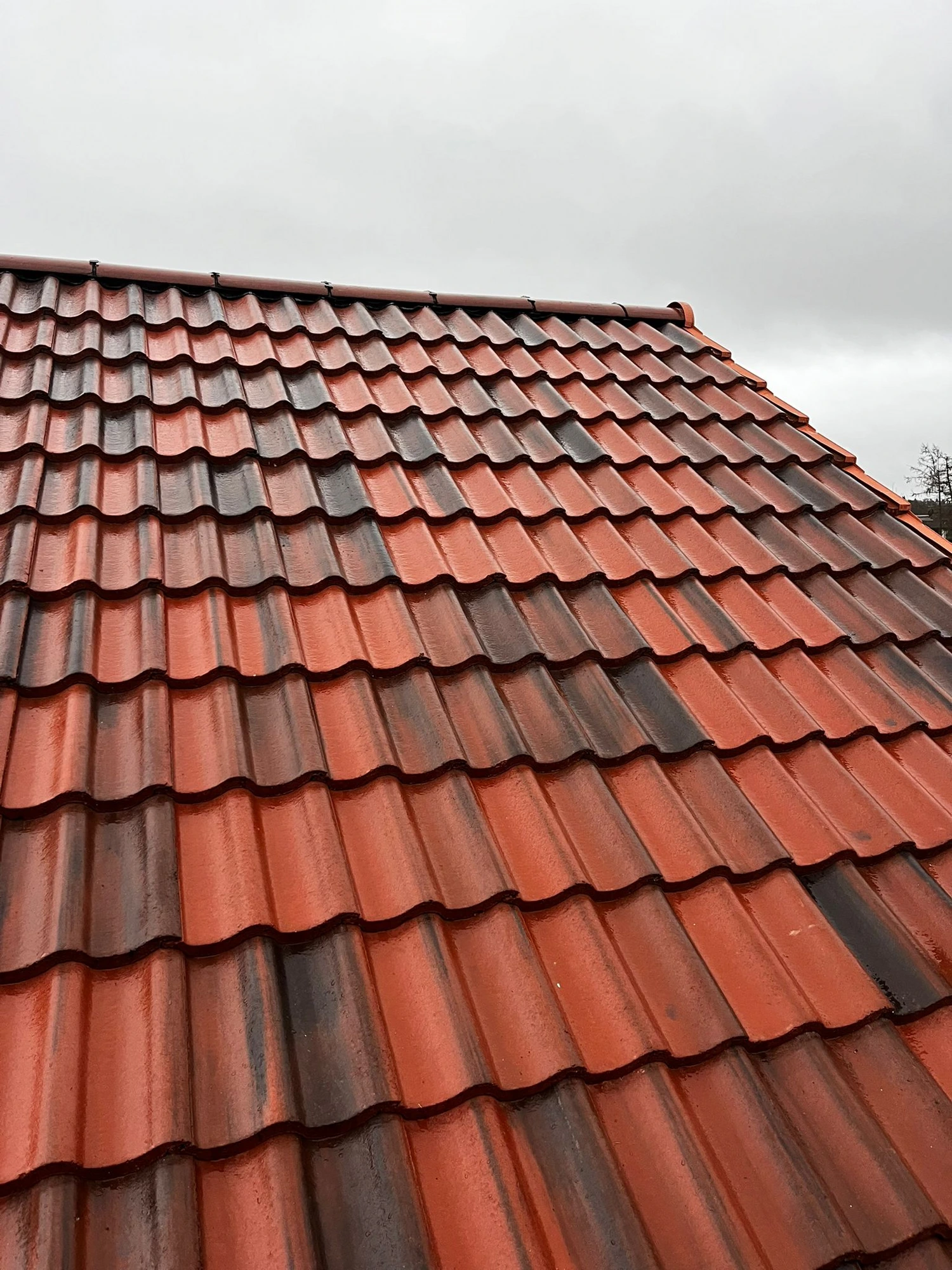 Rocksteady roof replacement — new red interlocking tiles